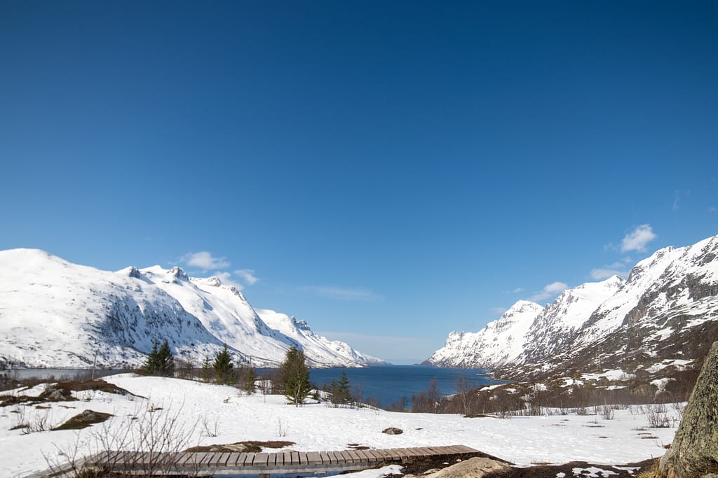 Fjord tour in Tromsø